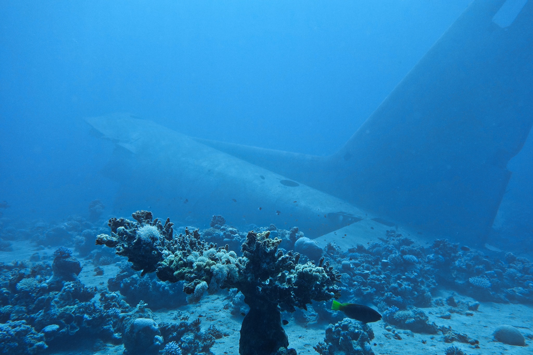 Description of the image